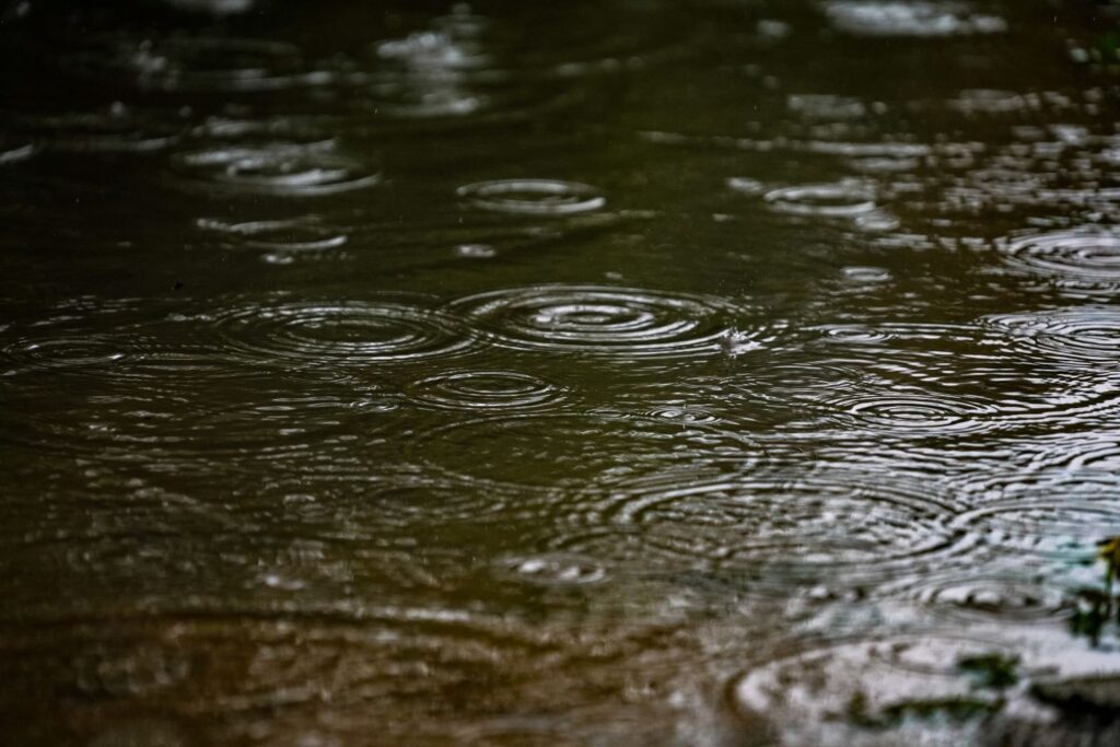 Em Santa Catarina, 24 municípios registram mais de 100 mm de chuva em apenas um dia