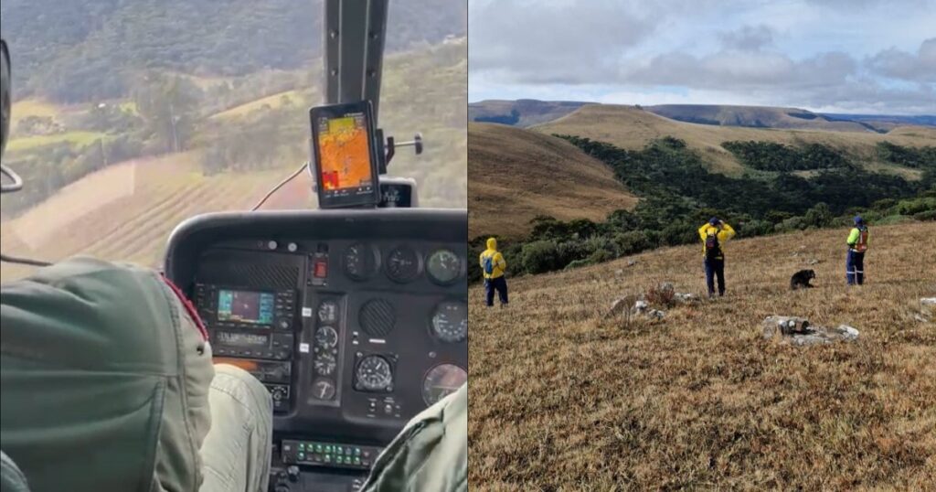 Helicóptero desaparecido em SC: buscas por Rick mobilizam bombeiros, drones e cães